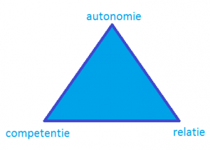 driehoek autonomie competentie relatie - motivatie